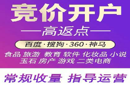 揭秘成功的关键词竞价排名背后的策略与执行